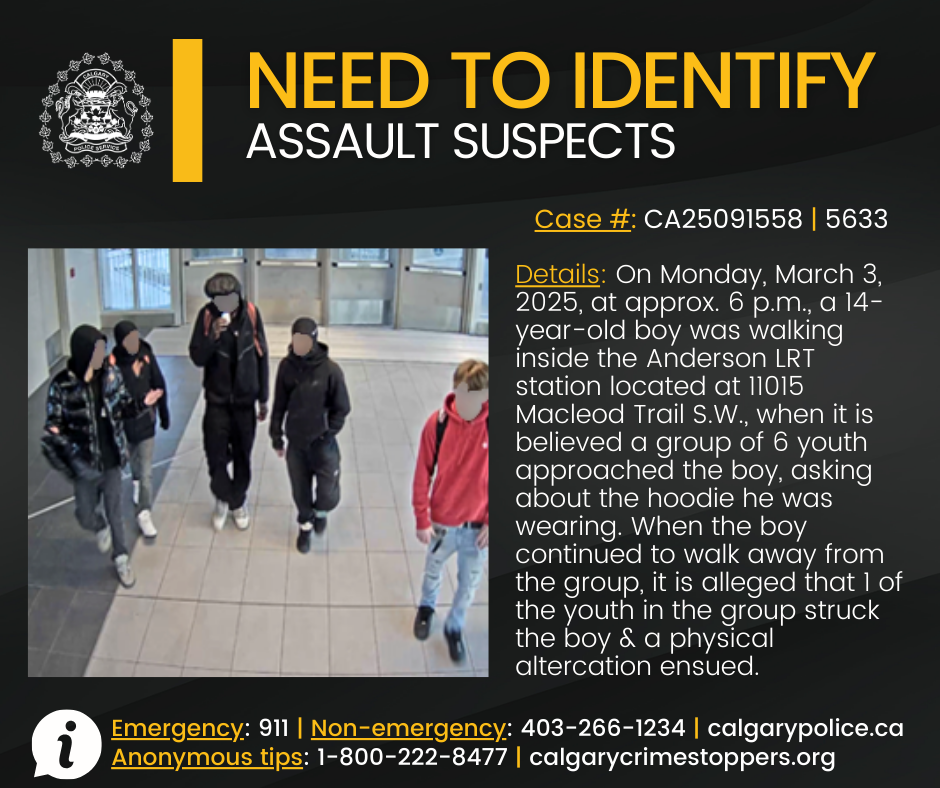 Police seek public assistance in identifying assault suspects