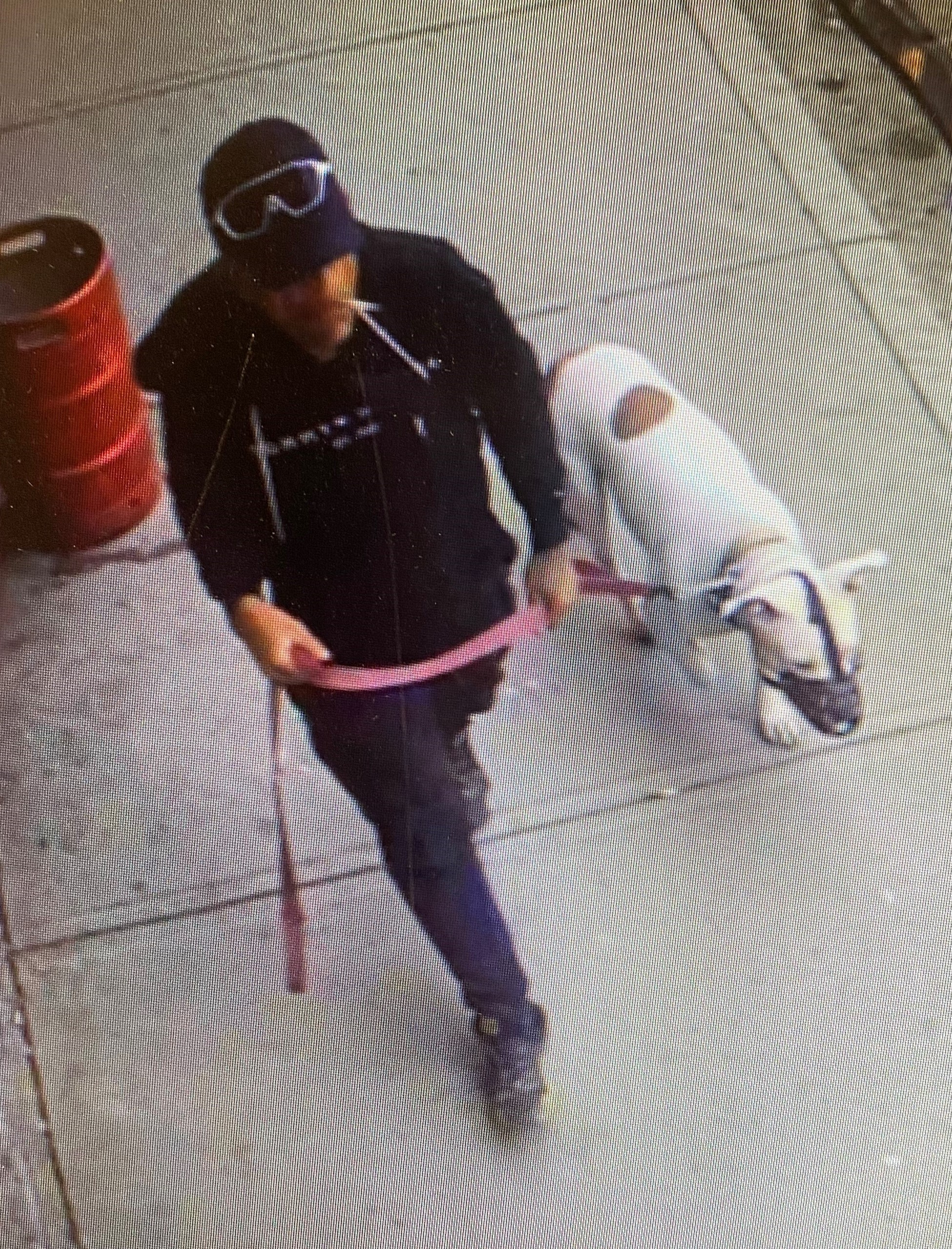 Police seek public assistance in identifying bike theft suspect