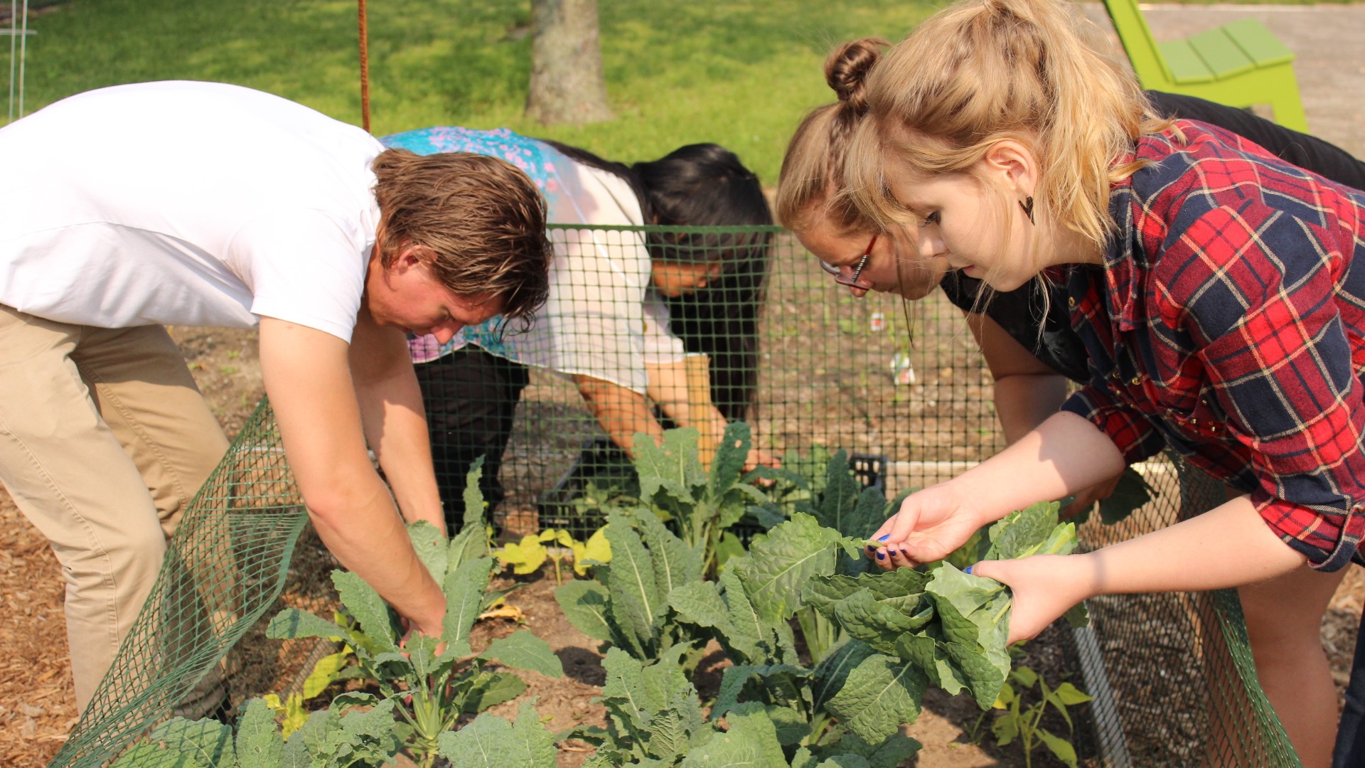 communitygarden2016.jpg