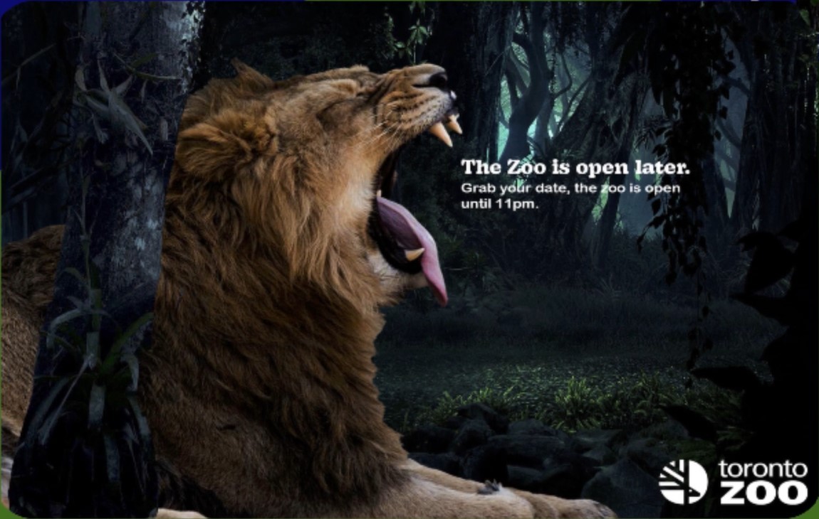 zoo campaign