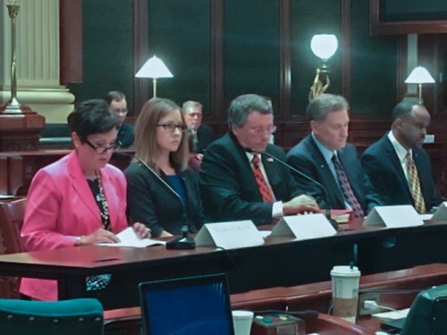 Maureen Kelly testifies before the House in Springfield.