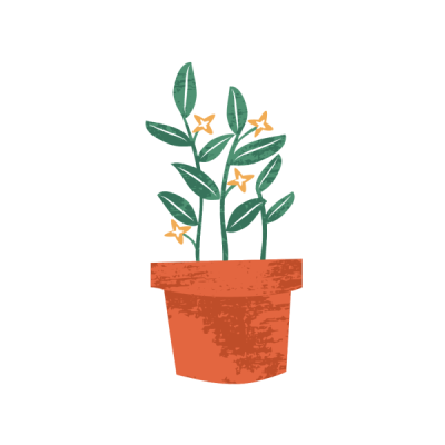 Potted plant graphic
