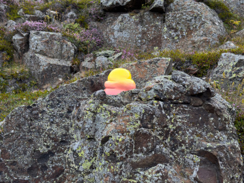 An organic sculpture by Nikki Renee Anderson in displayed among mossy rocks