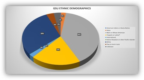 demographic pie chart