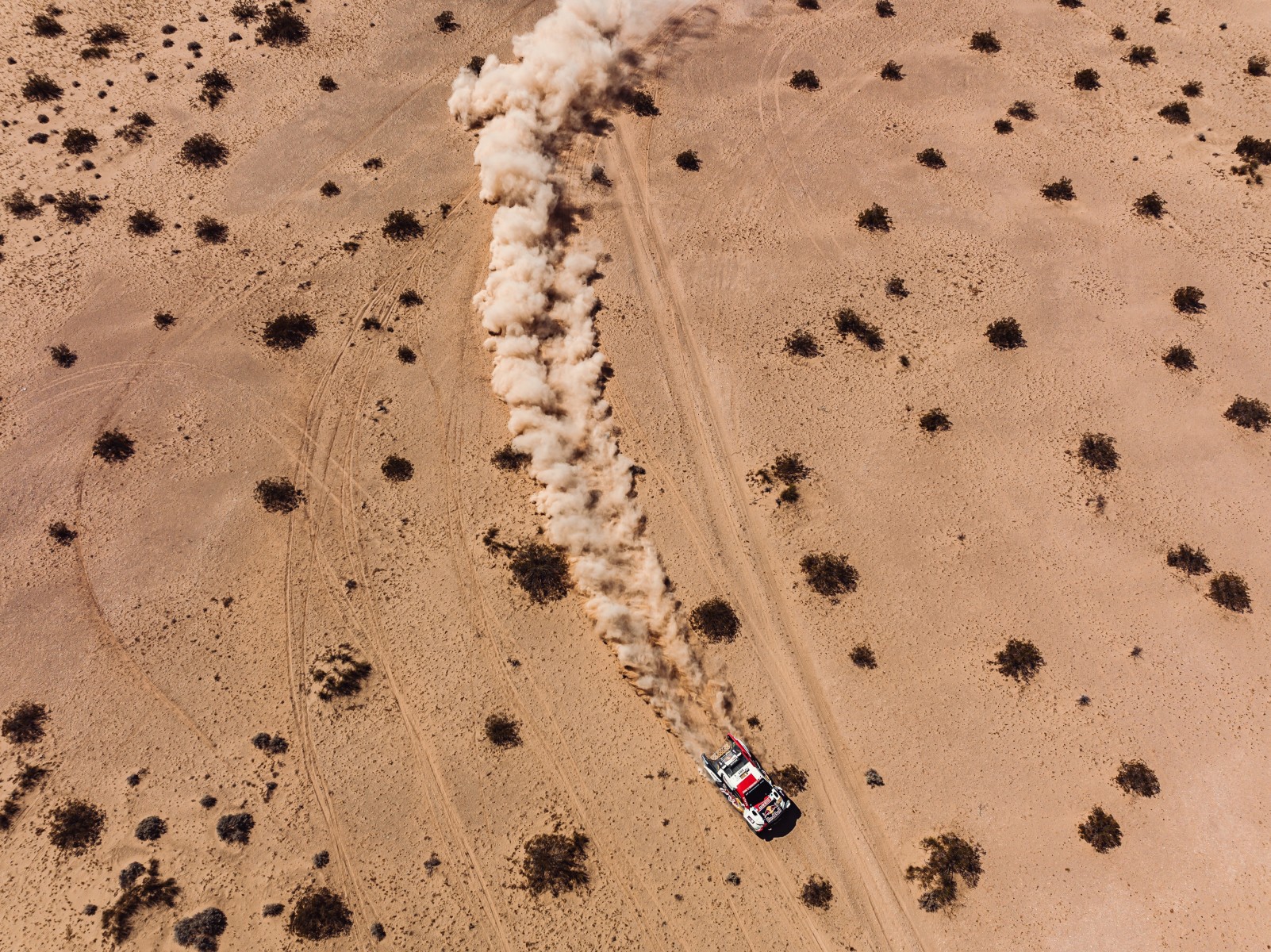 DJI_0266