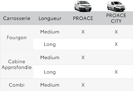 Versions Finitions Dangel
