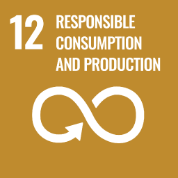 sdg_img12
