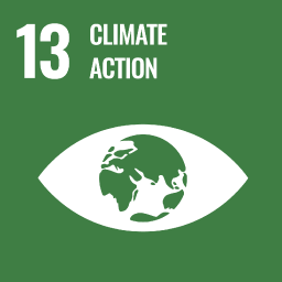 sdg_img13