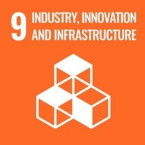 sdgs_icon_09_en