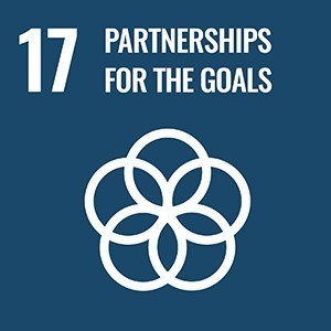 sdgs_icon_17_en