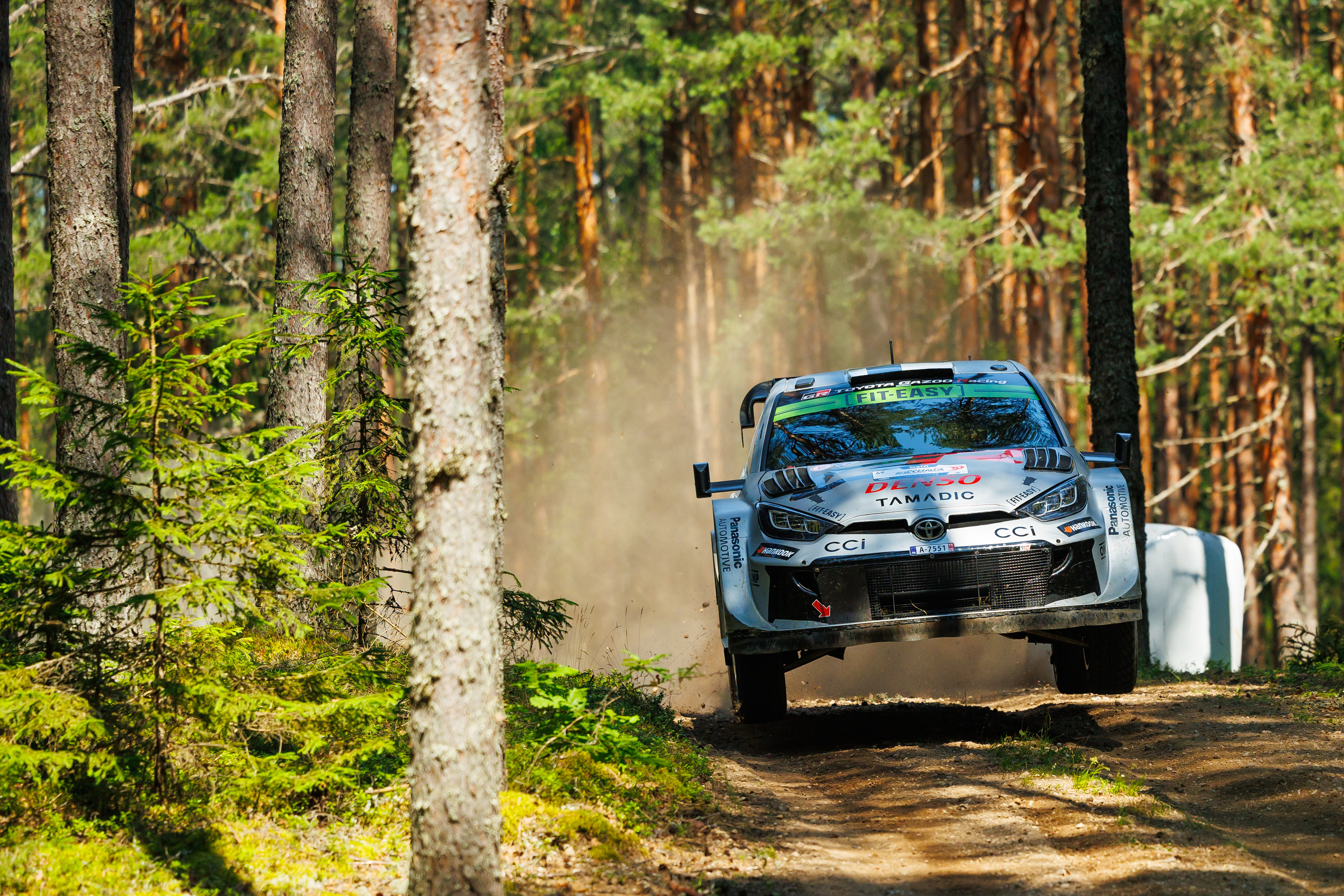 Rally Finland: Preview