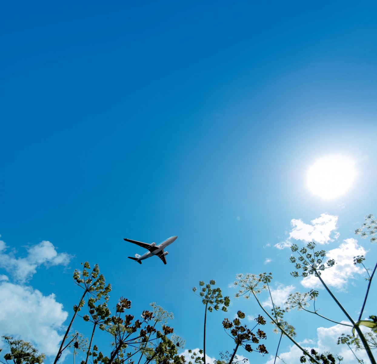 Resultado de imagen para KLM skynrg