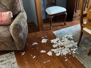 The destroyed book
