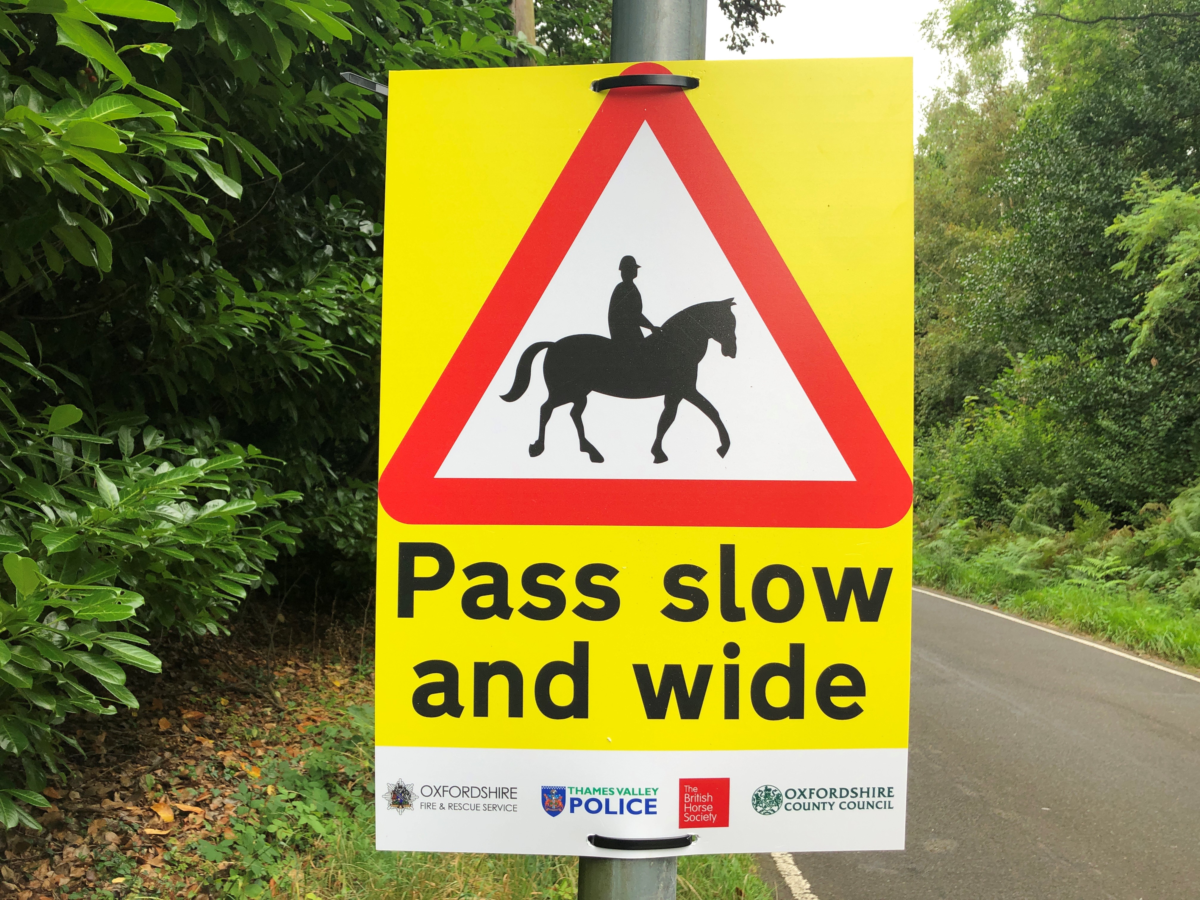 Horse rider safety campaign launched on Oxfordshire’s roads
