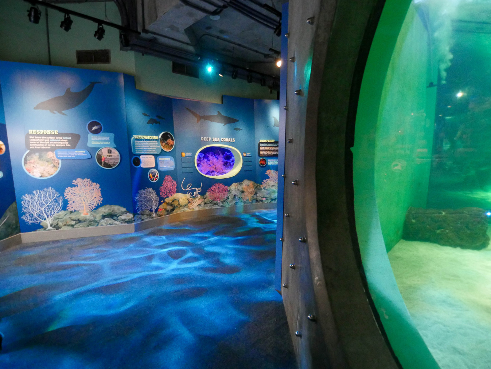 Coral Exhibit 10.4.24-5