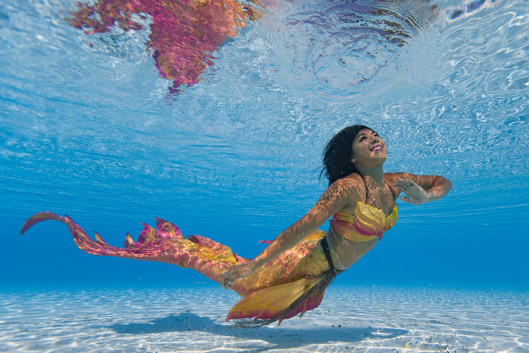 Mermaids will Splash into Audubon Aquarium of the Americas