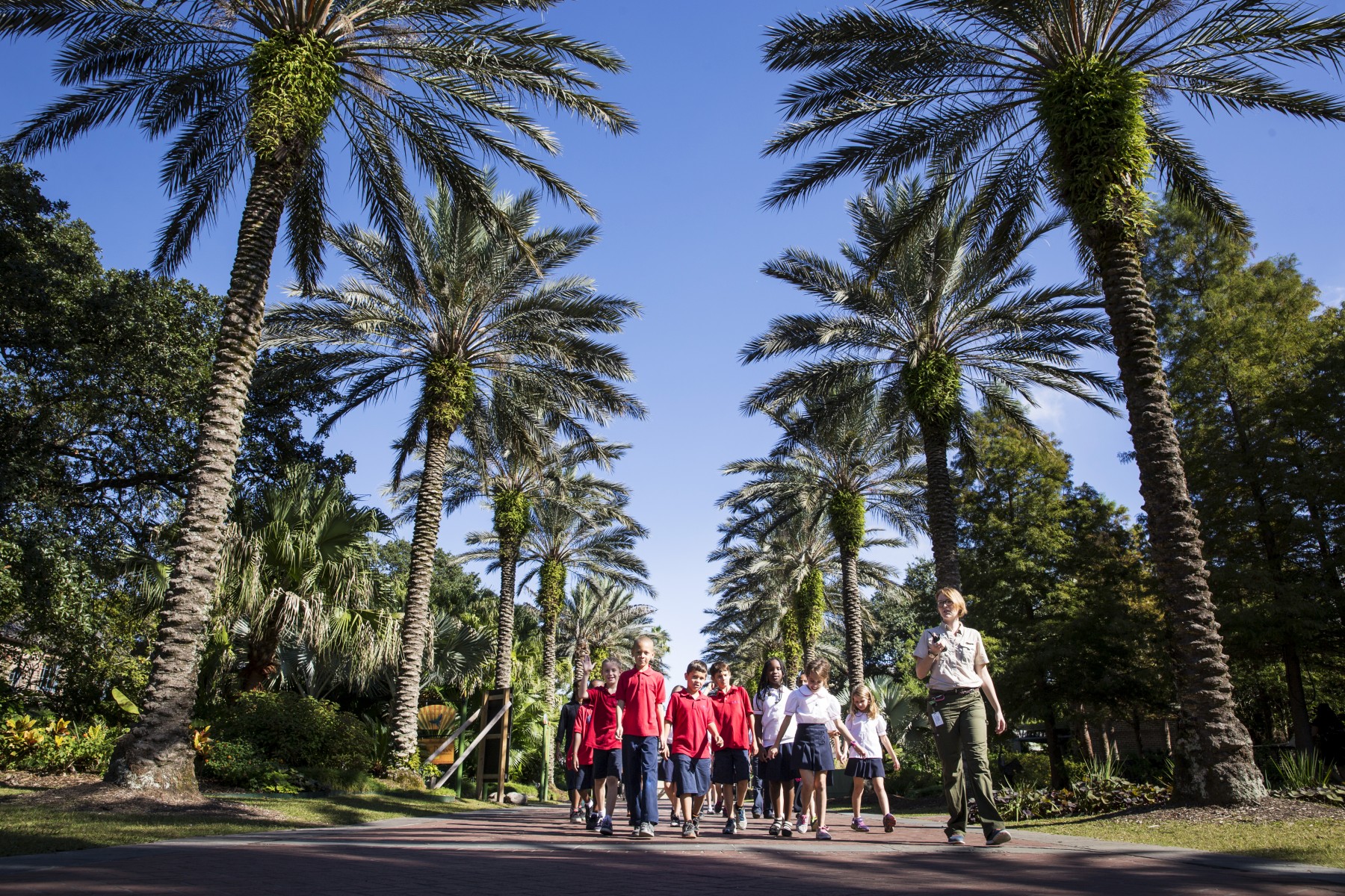 AUDUBON NATURE INSTITUTE visual data 4