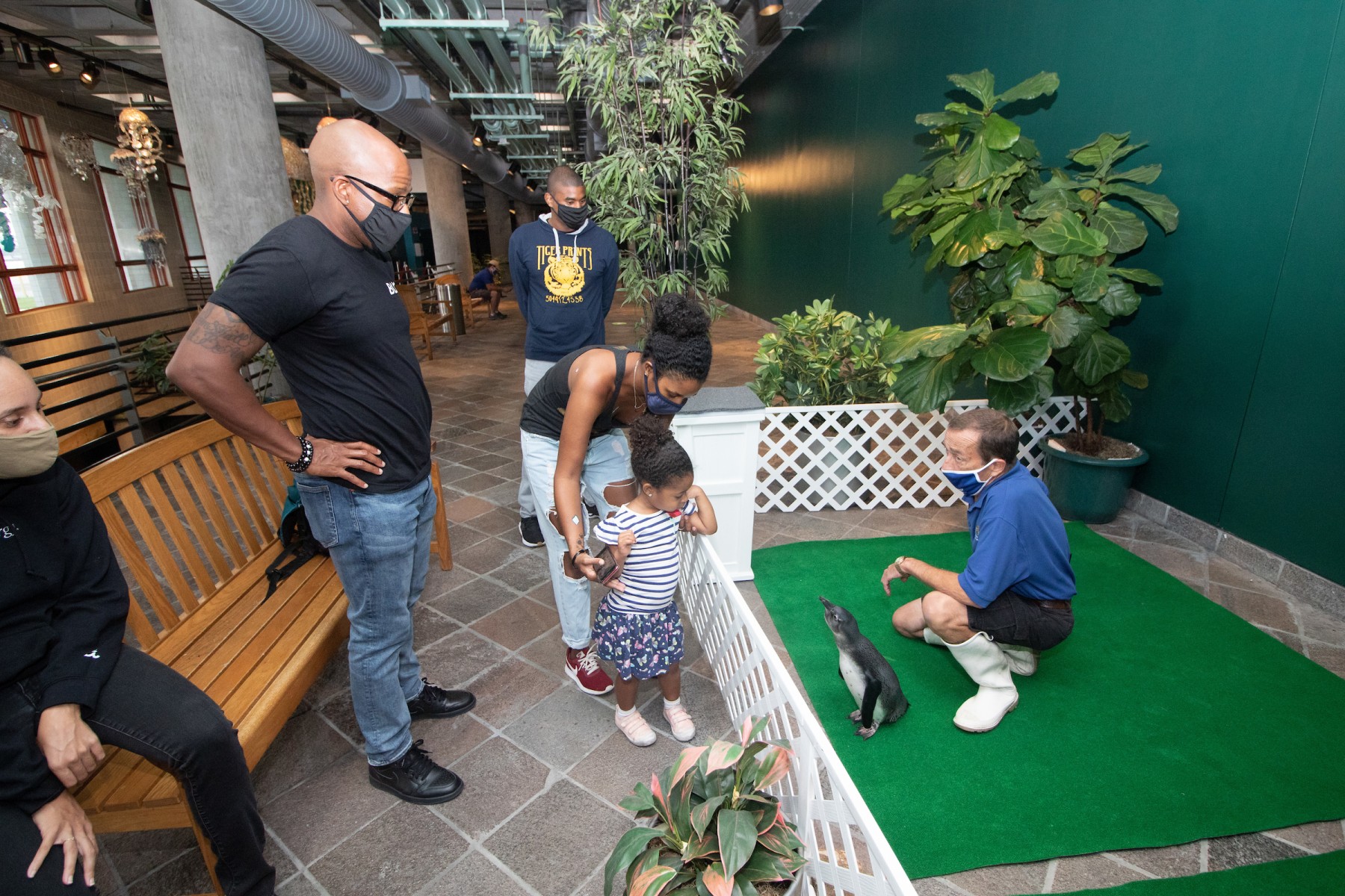 Backstage Penguin Pass31