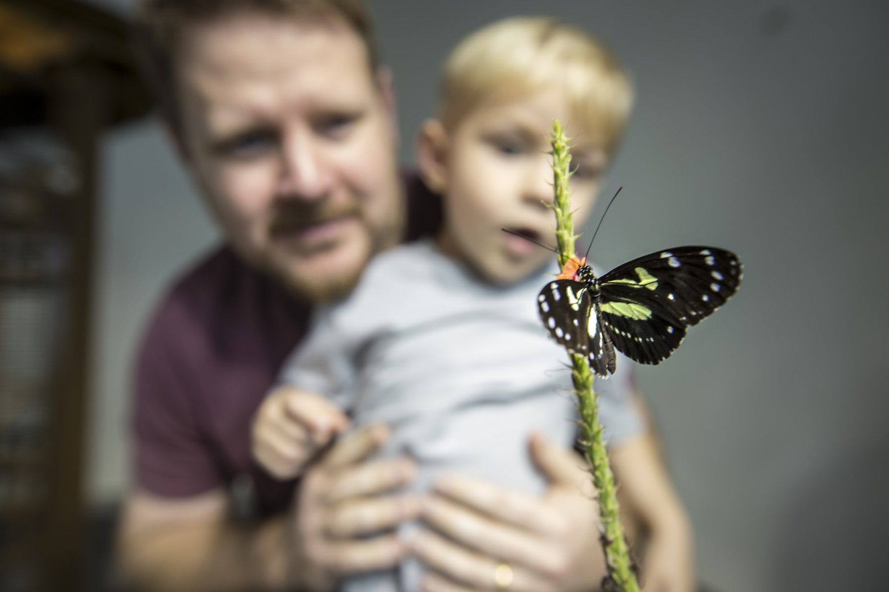 AUDUBON NATURE INSTITUTE visual data 6