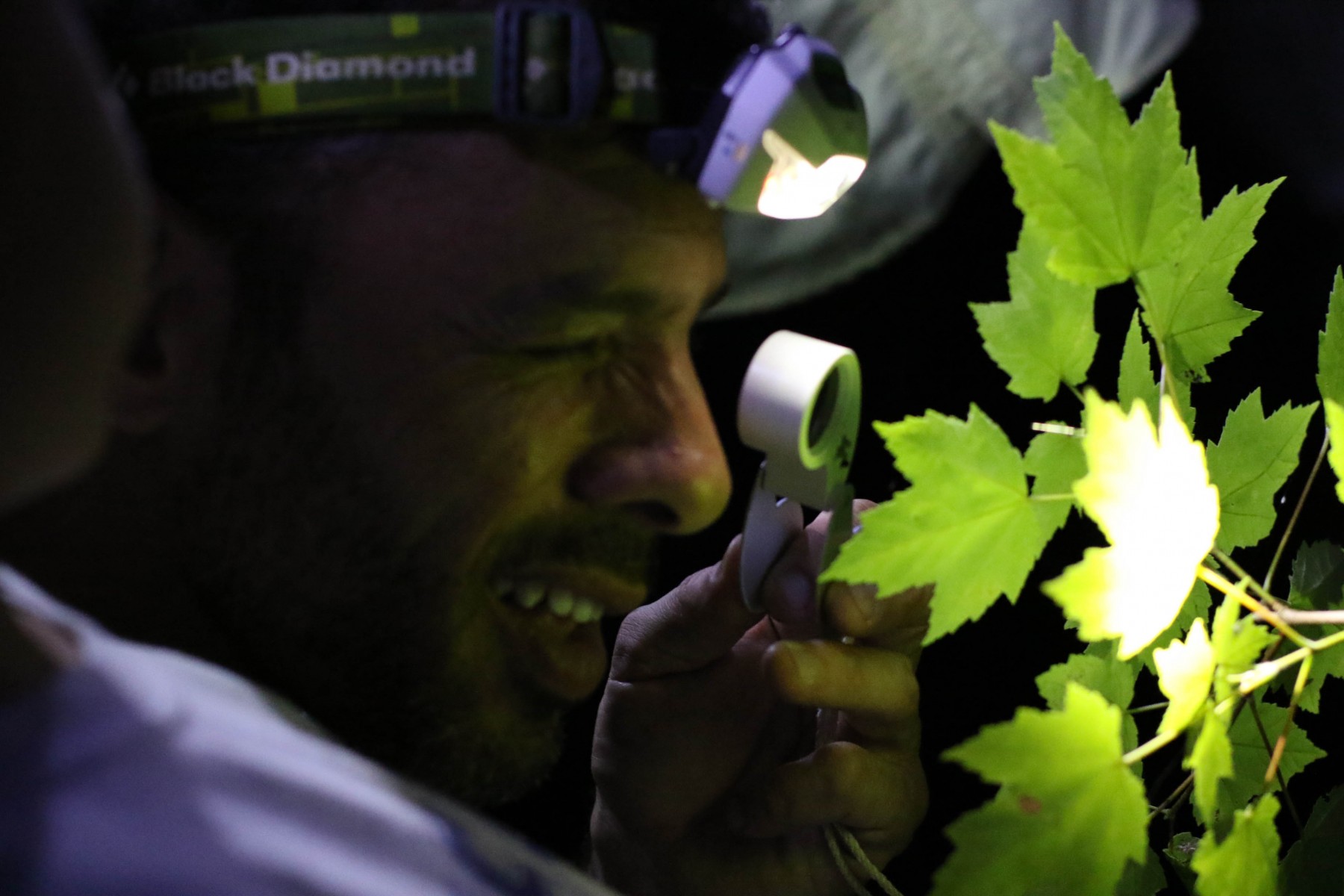 "Wild Nights’’ and “Insect Adventures’’ Buzzing Back to Audubon