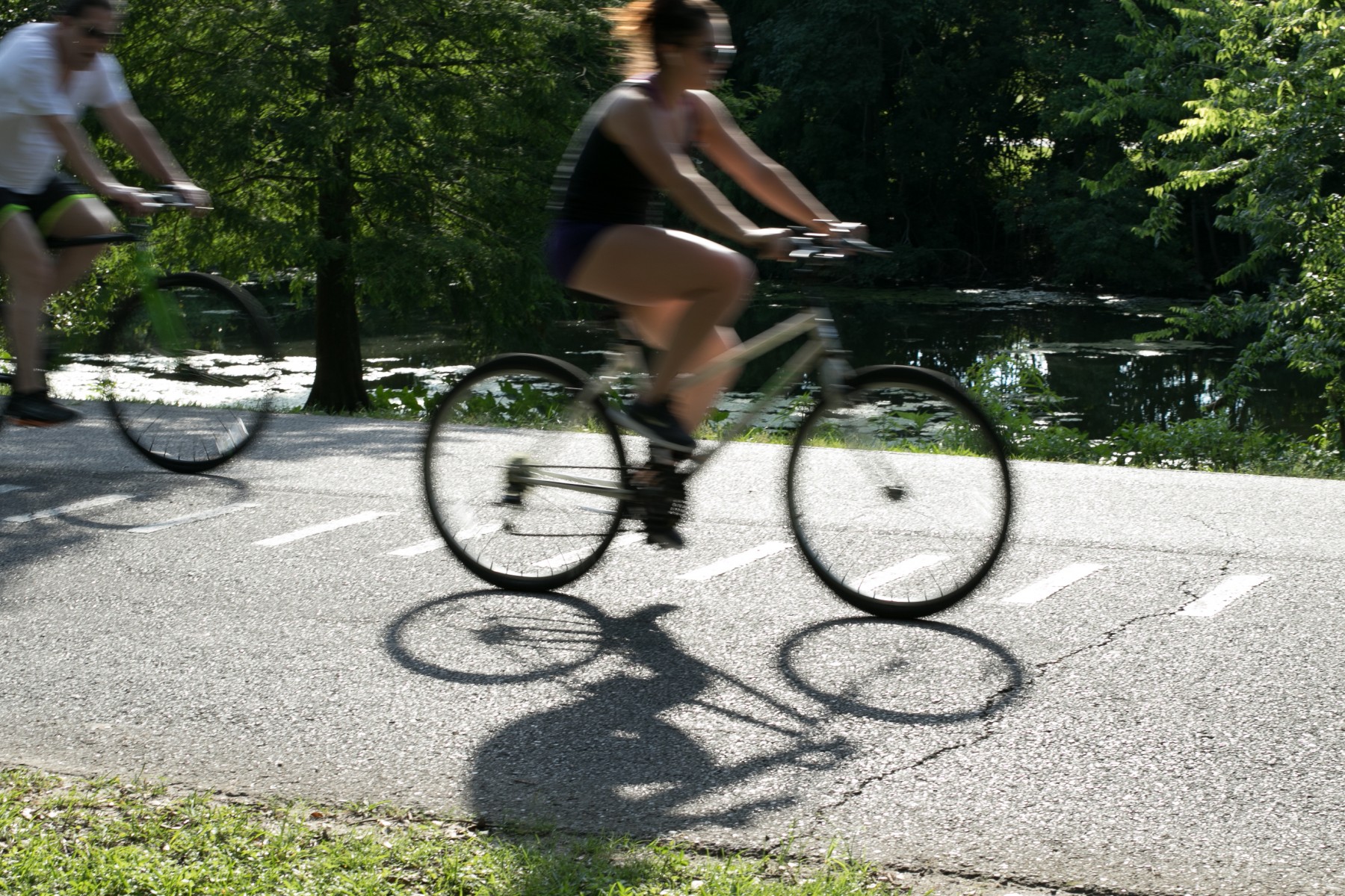 Audubon Park New Orleans 300 Celebrating the Past and Shaping the Future