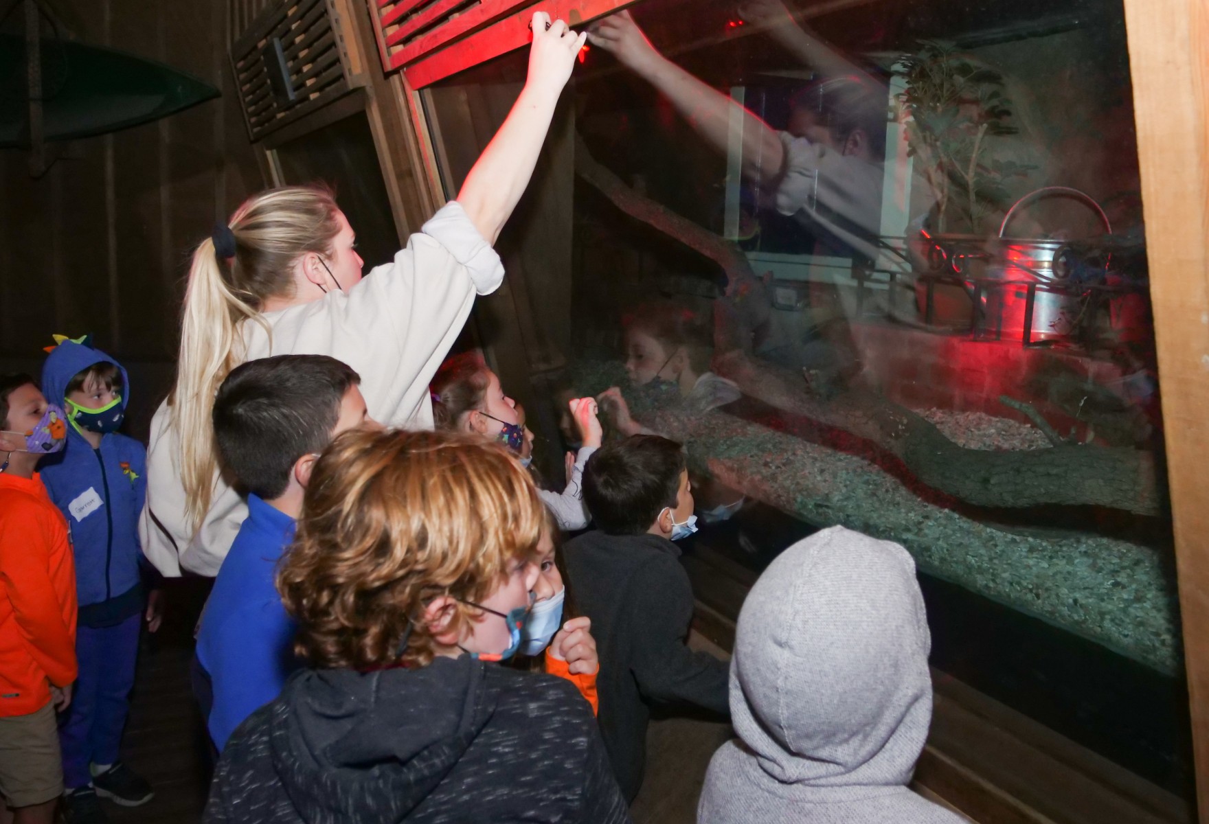 Audubon Zoo Hosts Nature at Night