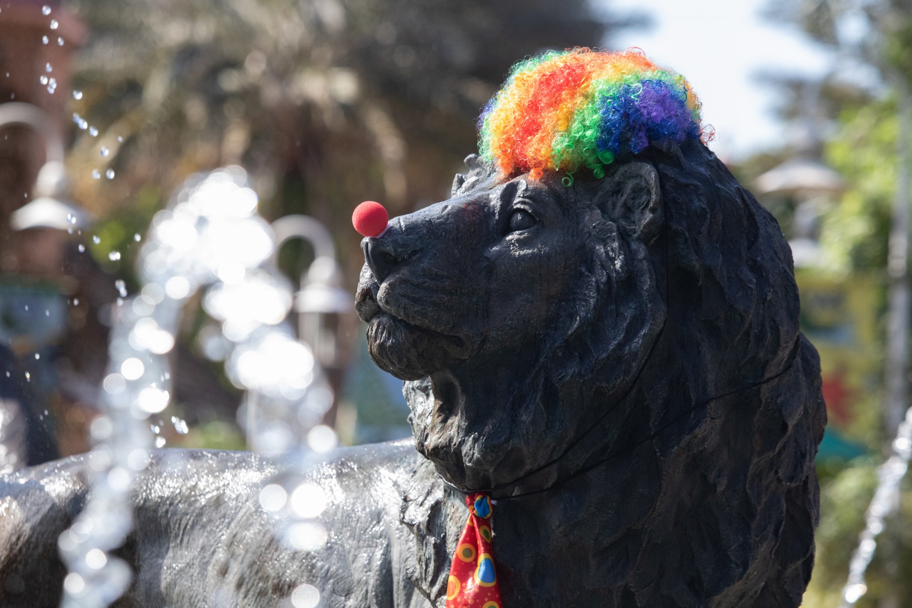 Peek-a-Boo at the Zoo