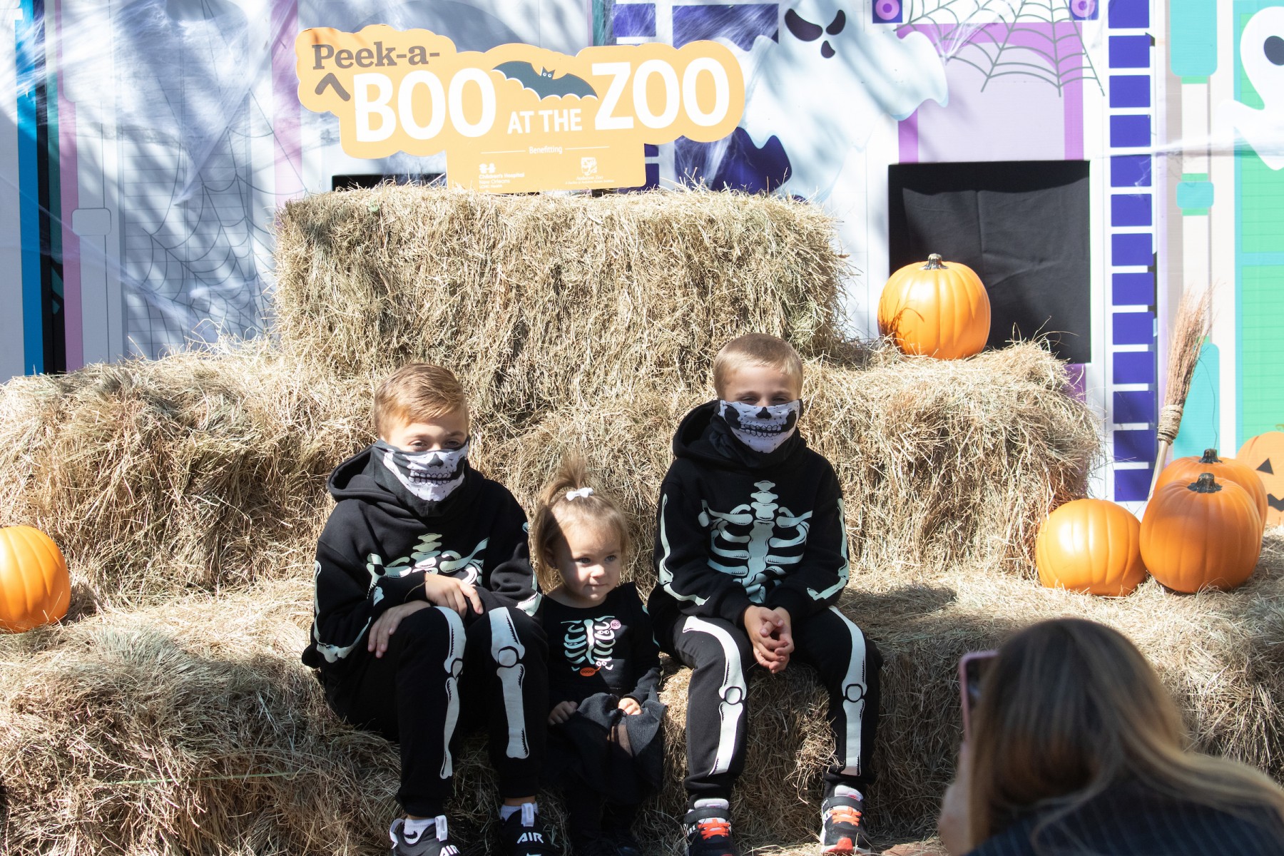 Peek-a-Boo at the Zoo