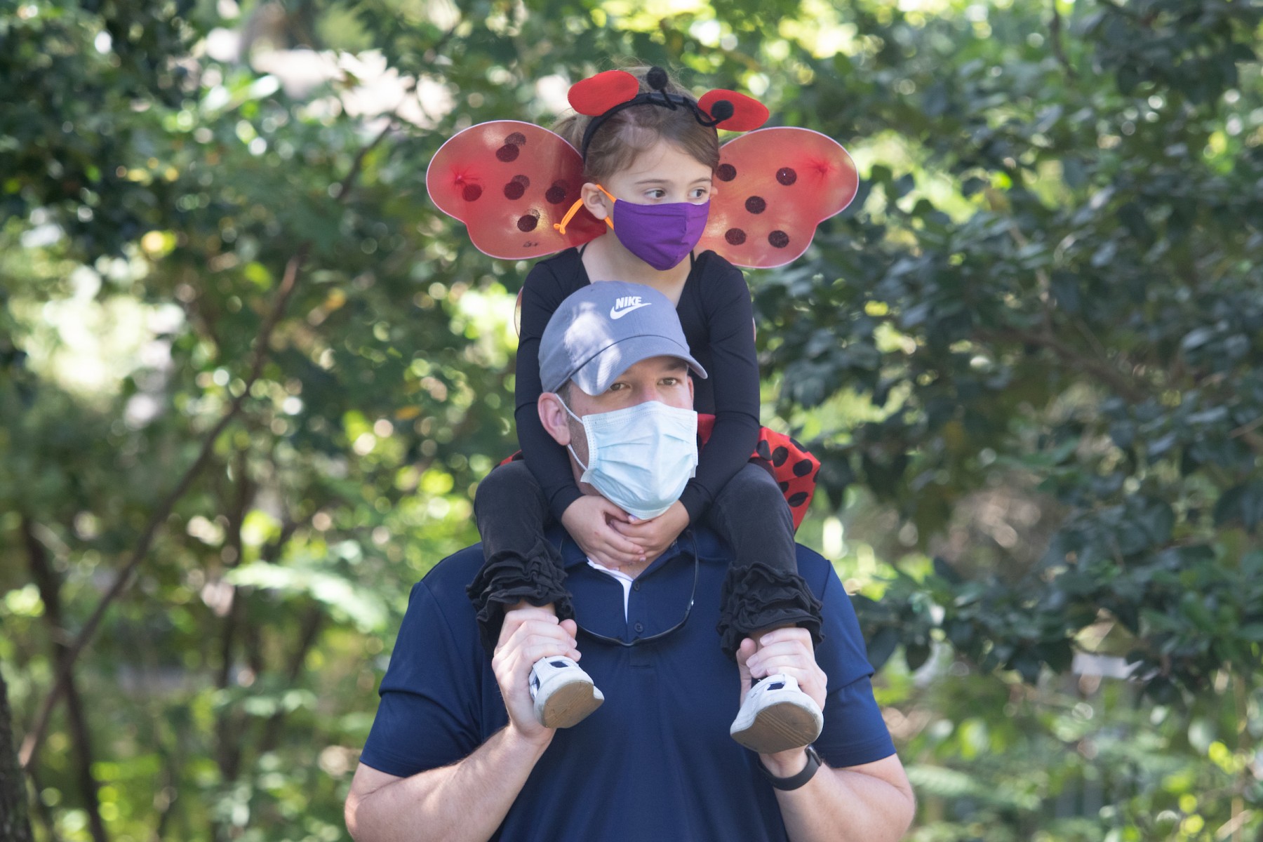 Peek-a-Boo at the Zoo