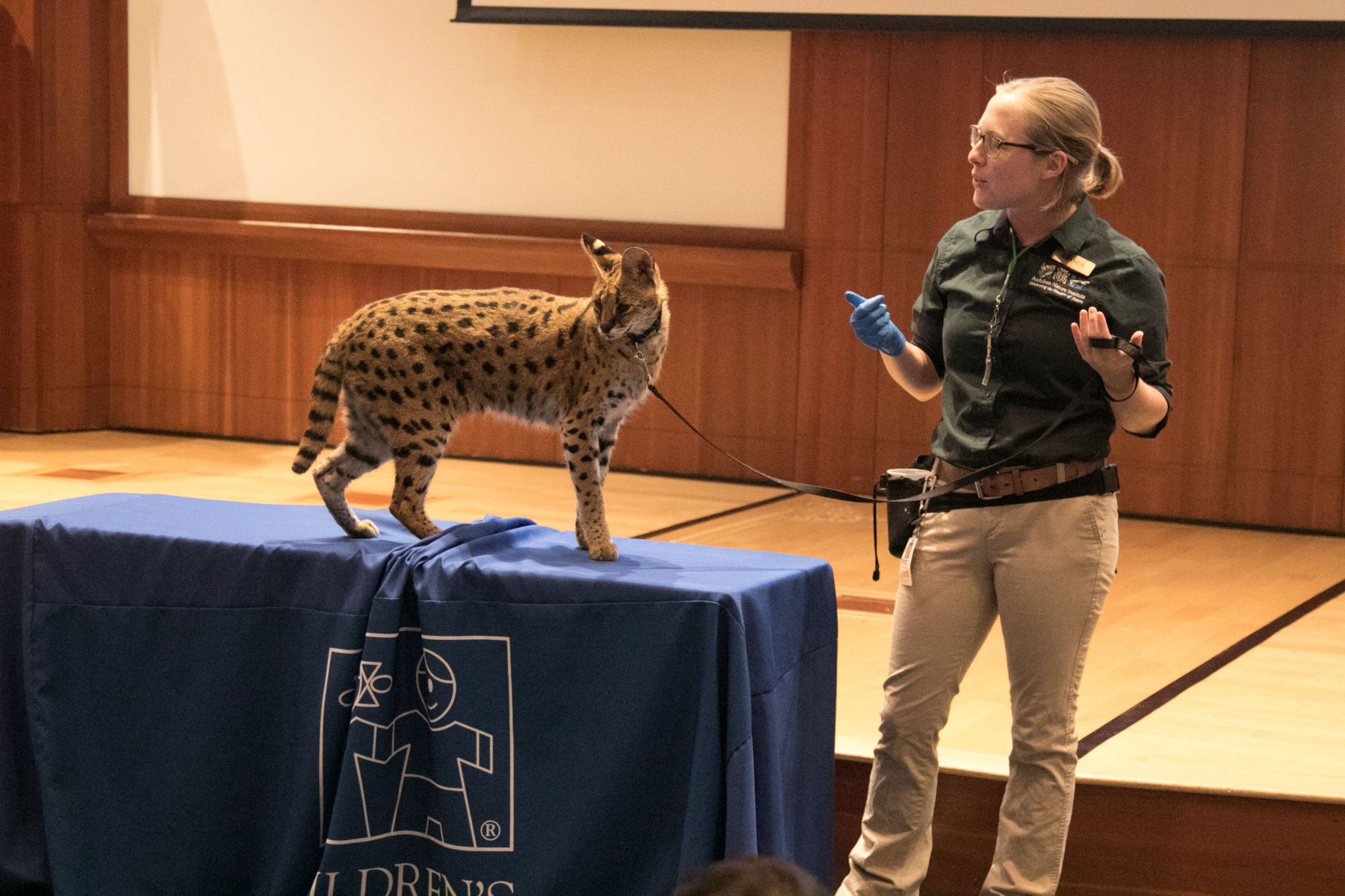San Diego Zoo Children's Hospital Press Conference