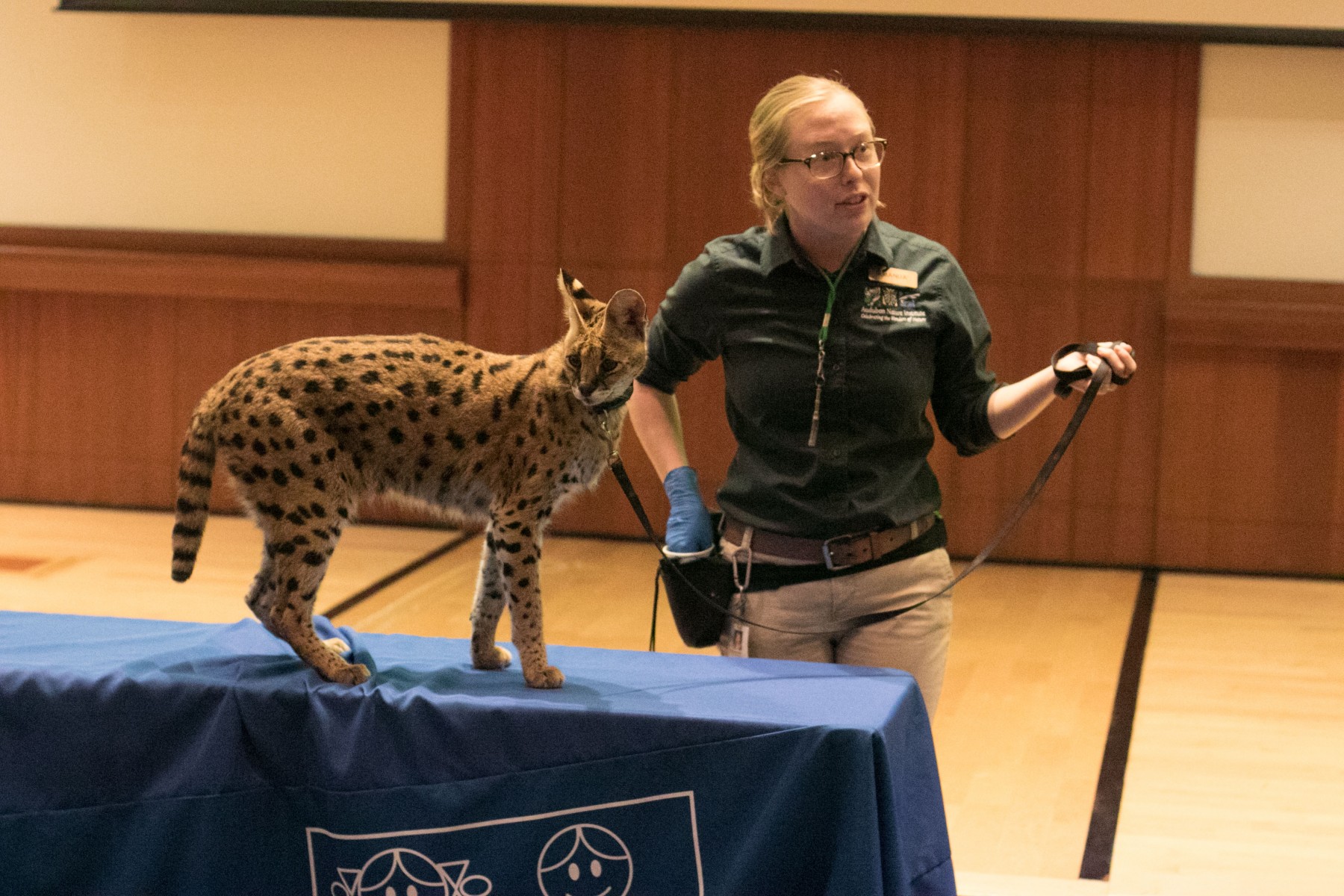 San Diego Zoo Children's Hospital Press Conference