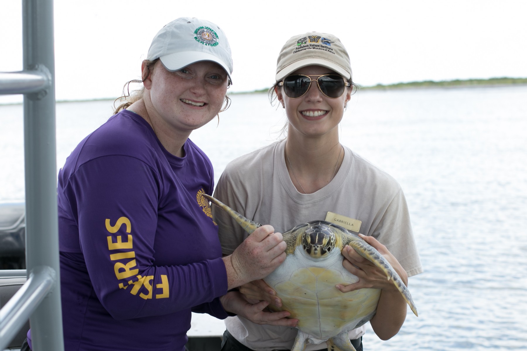 Injured Sea Turtle Rehabilitated and Released Back into the Gulf of Mexico