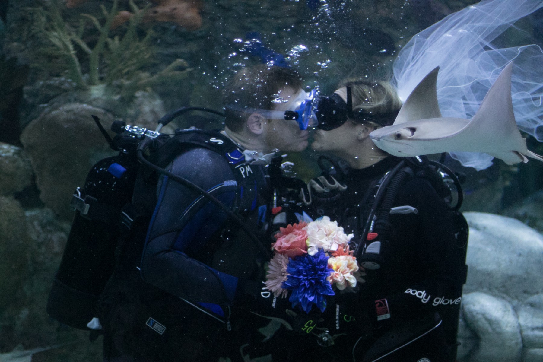 Couple Says "I Do" in Underwater Wedding Celebration at Audubon