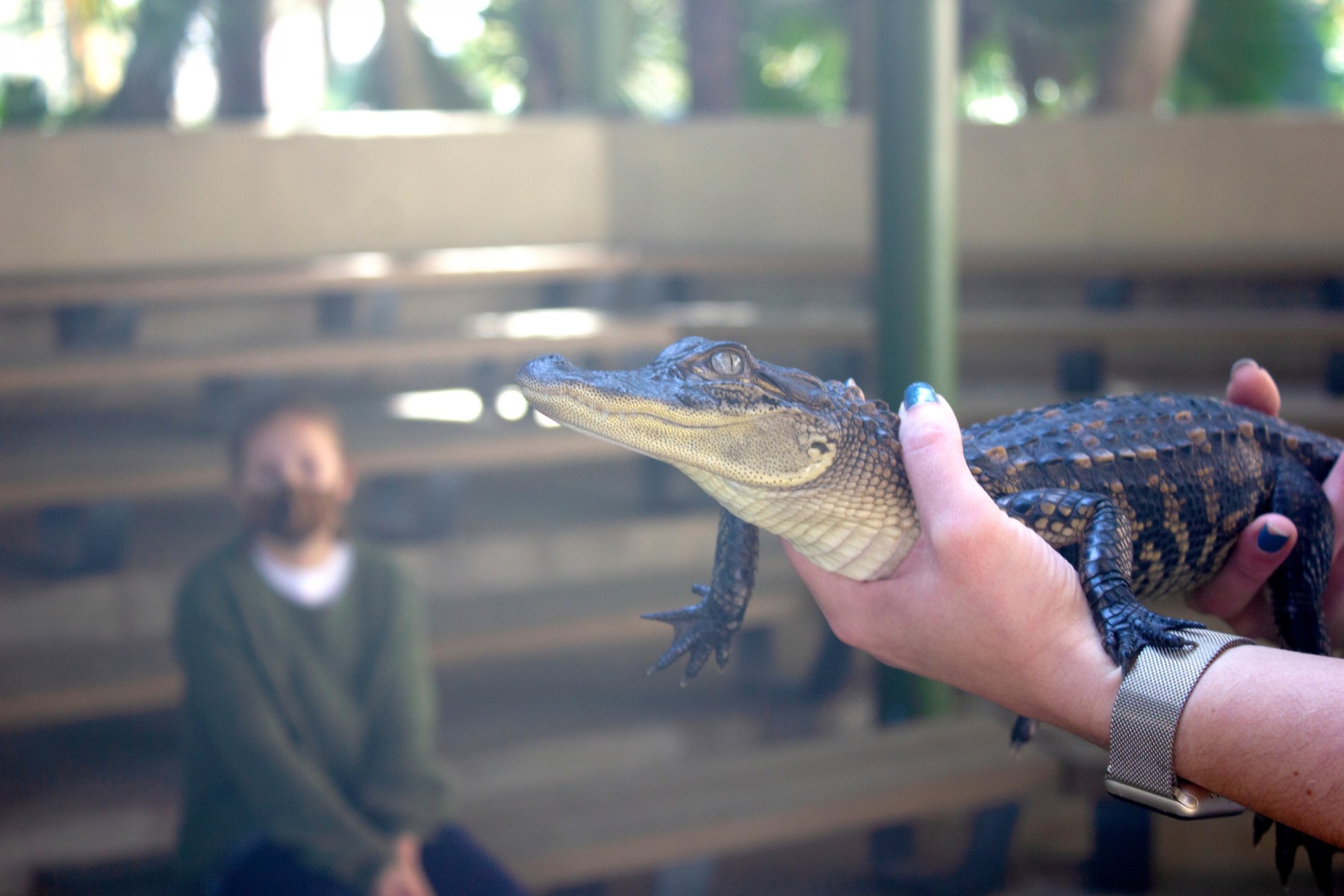 Holiday Camps at Audubon Zoo