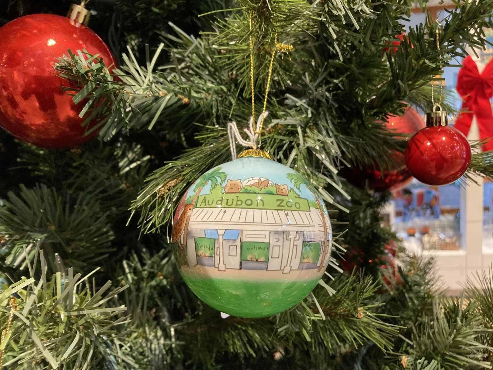 Audubon Gift Giving Ideas for Entire Family