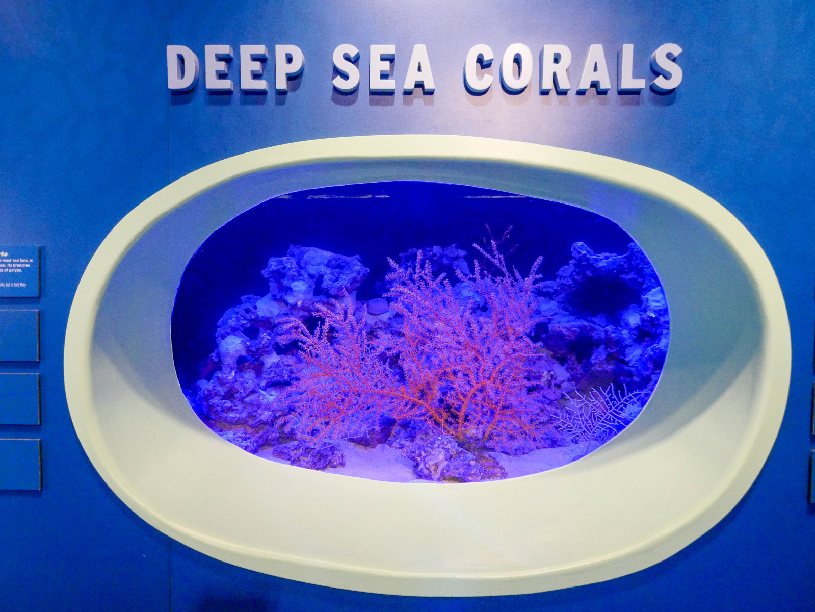 Coral Exhibit 10.4.24-10