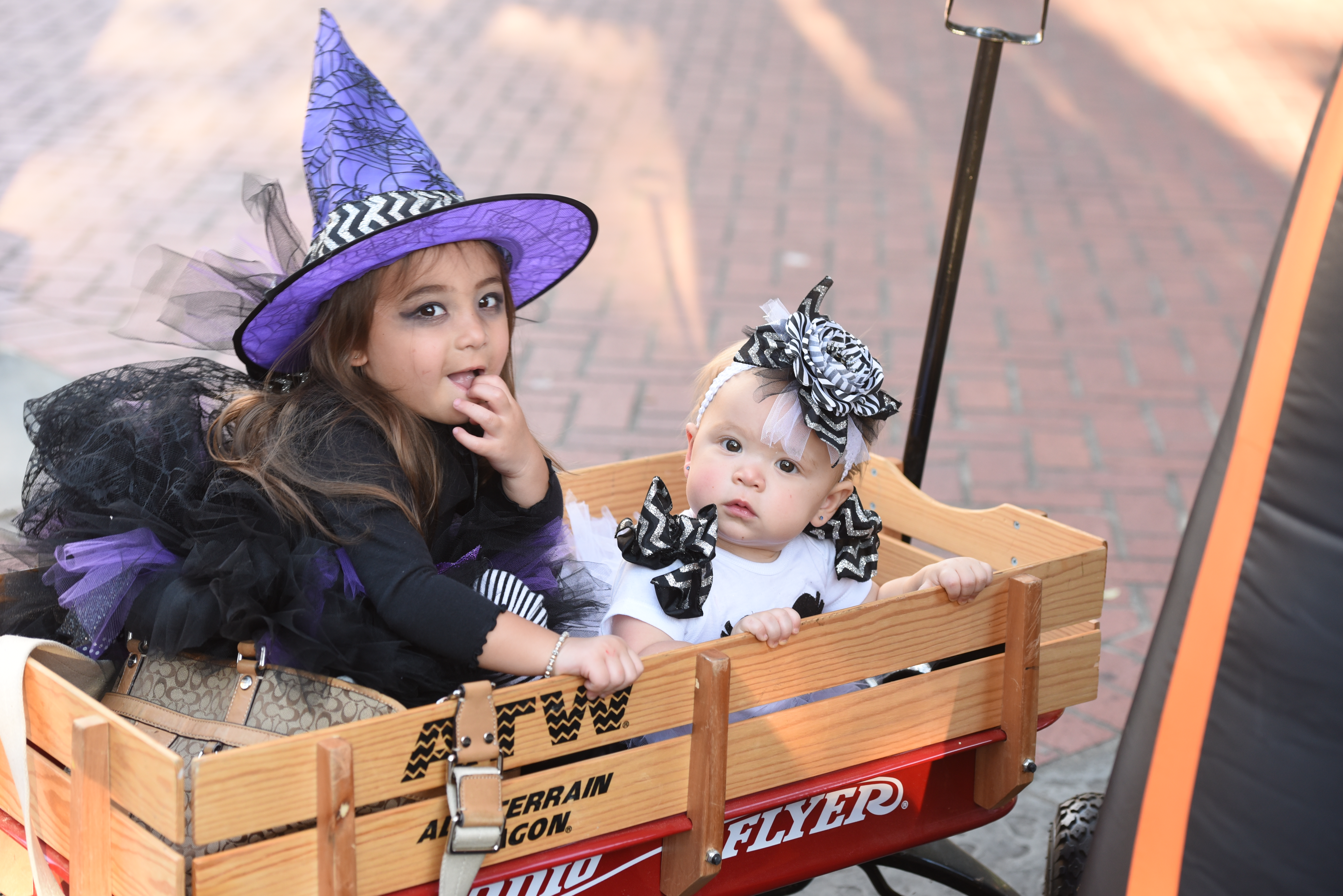 Tickets Now on Sale for Boo at the Zoo