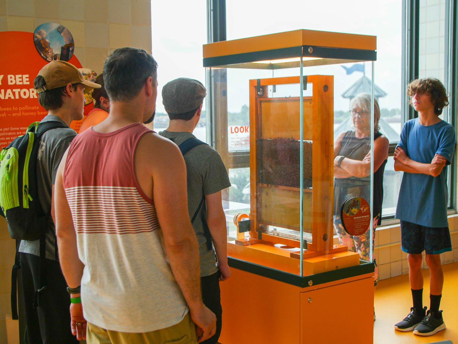 Honeybee Exhibit 7.13.23-5