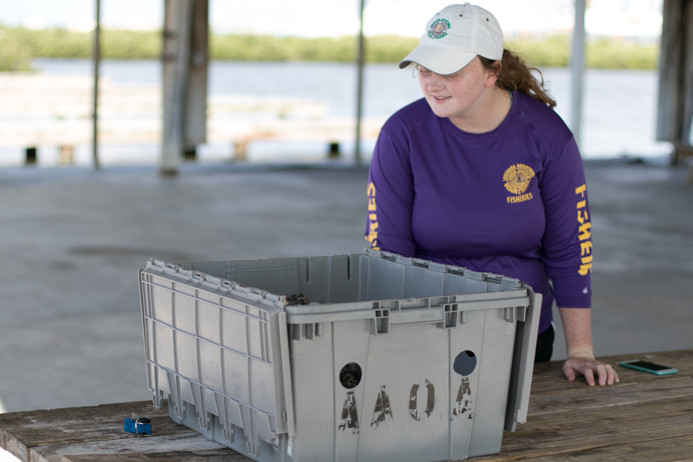 Injured Sea Turtle Rehabilitated and Released Back into the Gulf of Mexico