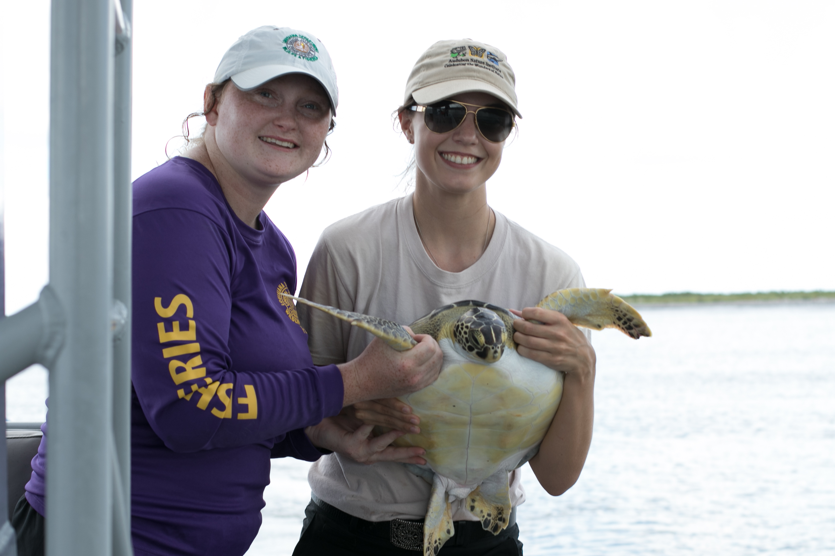 Injured Sea Turtle Rehabilitated and Released Back into the Gulf of Mexico
