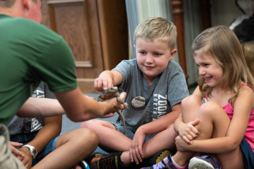 Summer 2026 ZooCamp Registration Now Open at ZooAmerica