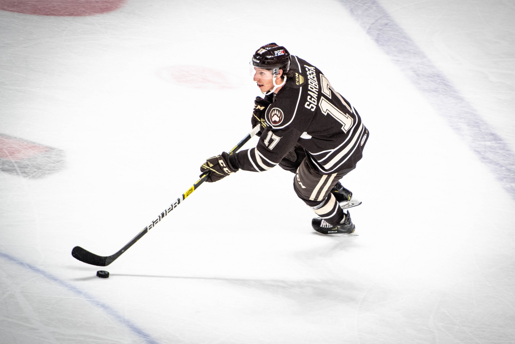 Hershey Bears Announce Schedule for 2020-21 Season