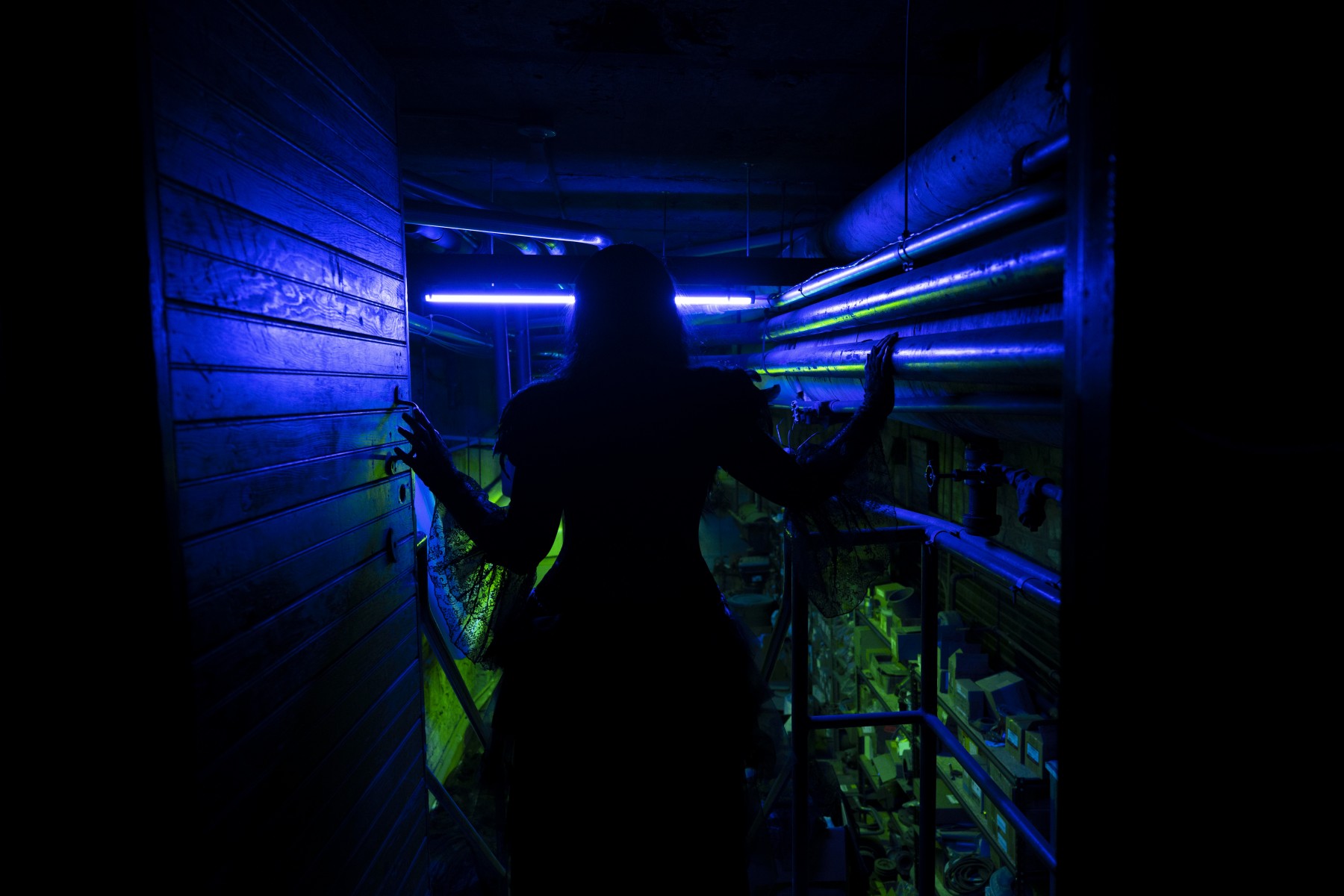 Dark Nights Behind The Haunt The Descent