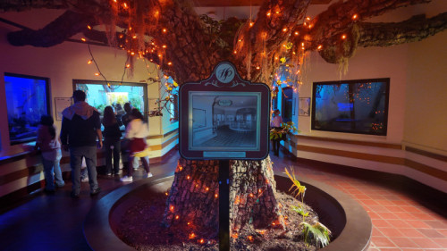 Top 10 Things to Do at Creatures of the Night at ZooAmerica 2026