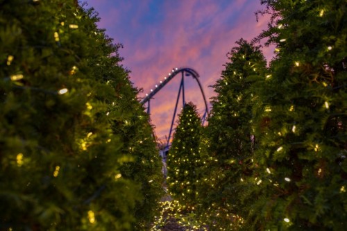 Places to Celebrate National Christmas Tree Day in Hershey