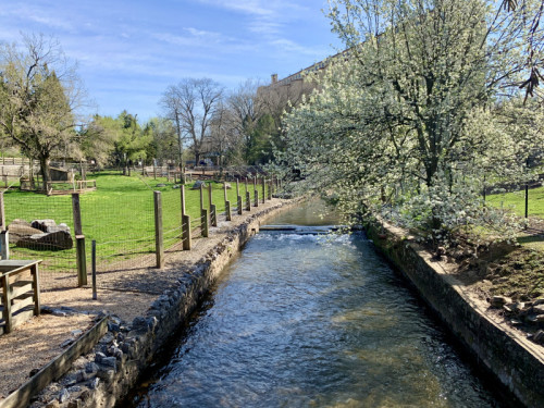 ZooAmerica to Host Earth Day Celebration on April 18, 2026