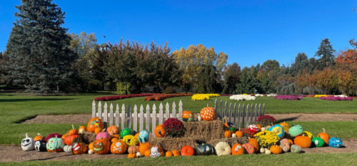 How To Celebrate National Pumpkin Day in Hershey, PA 2025