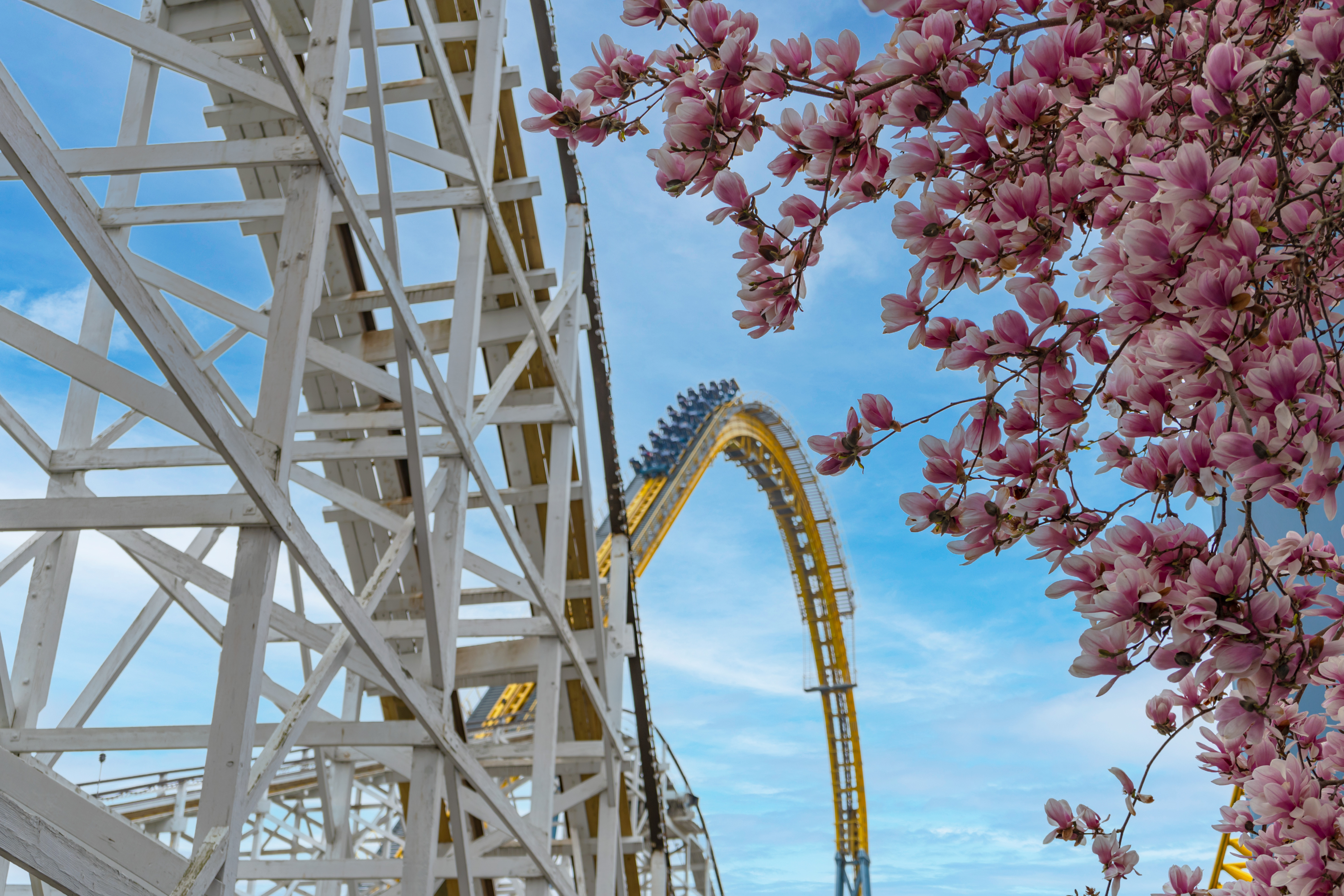 Spring Monthjs Spring Guide for 2026 Hersheypark Season Pass Holders