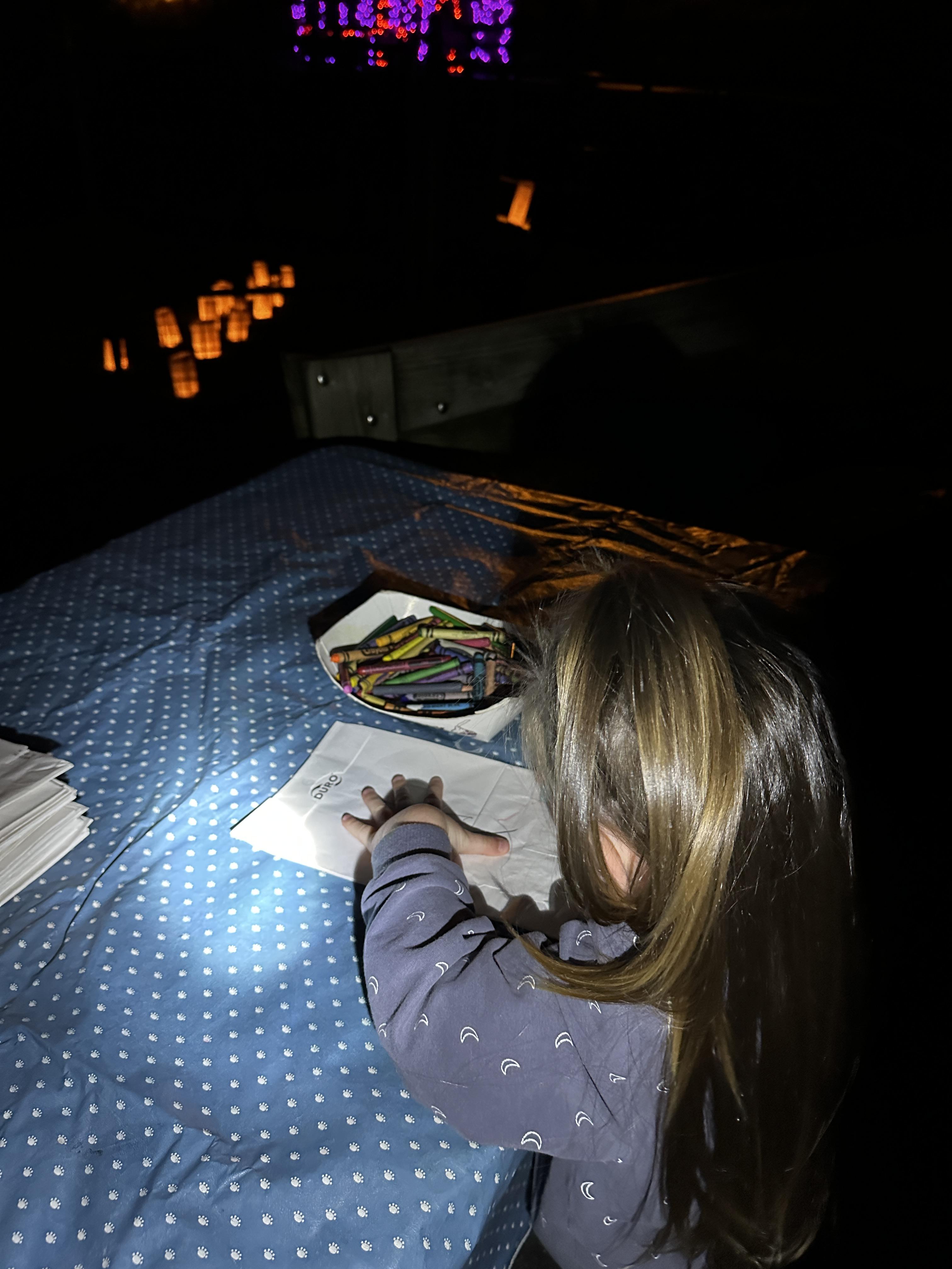 ZooAmerica Creatures Of The Night Top 8 Things to Do