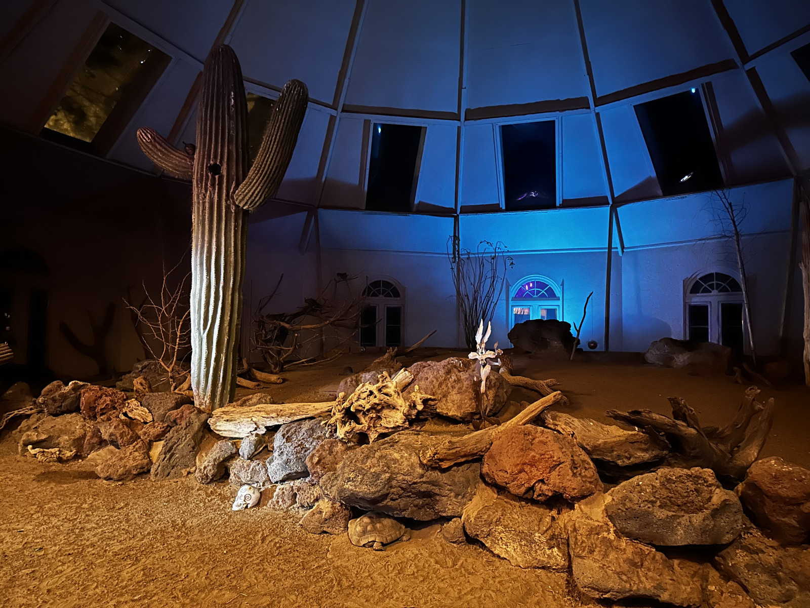 ZooAmerica Creatures Of The Night Top 8 Things to Do